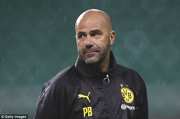 Borrusia Dortmund Pecat Peter Bosz Dari Kursi Pelatih